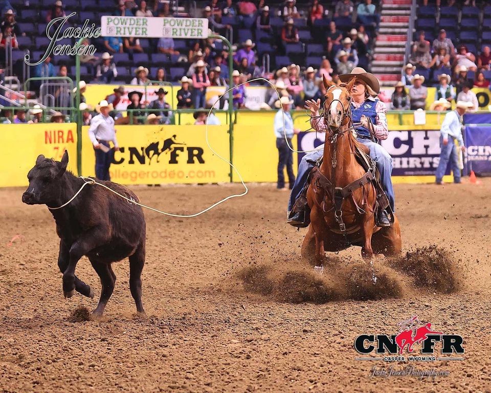 Put Your Horse At Ease with A Joint Supplement