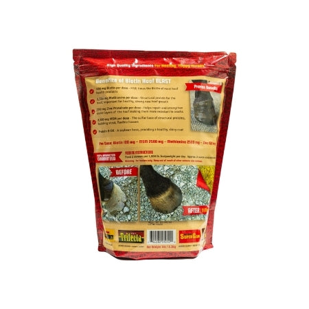 Biotin Hoof Blast 5lb Back Supplement by Horse Guard