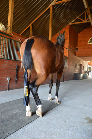 Bay Horse with Black Horse Tail bag by Horse Guard