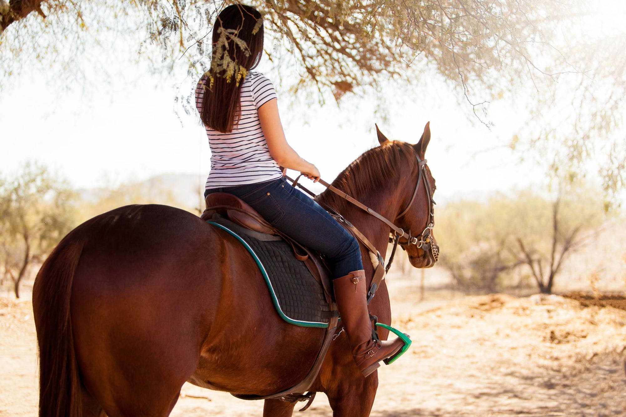 horse love