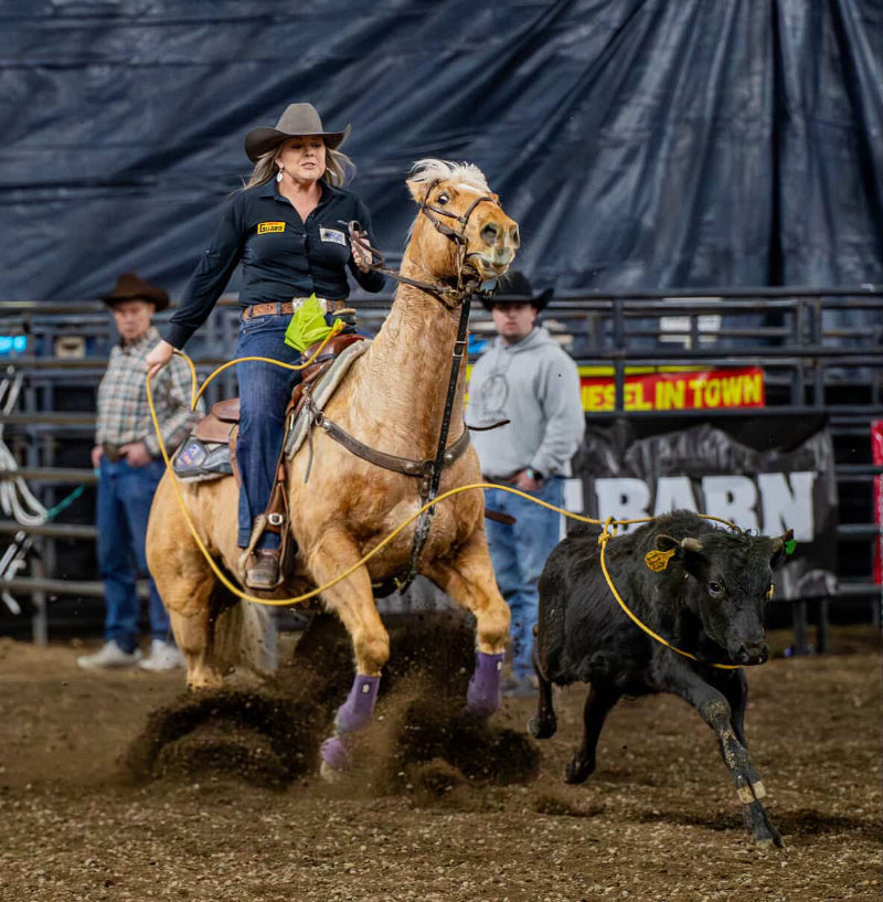 Bailey Patterson