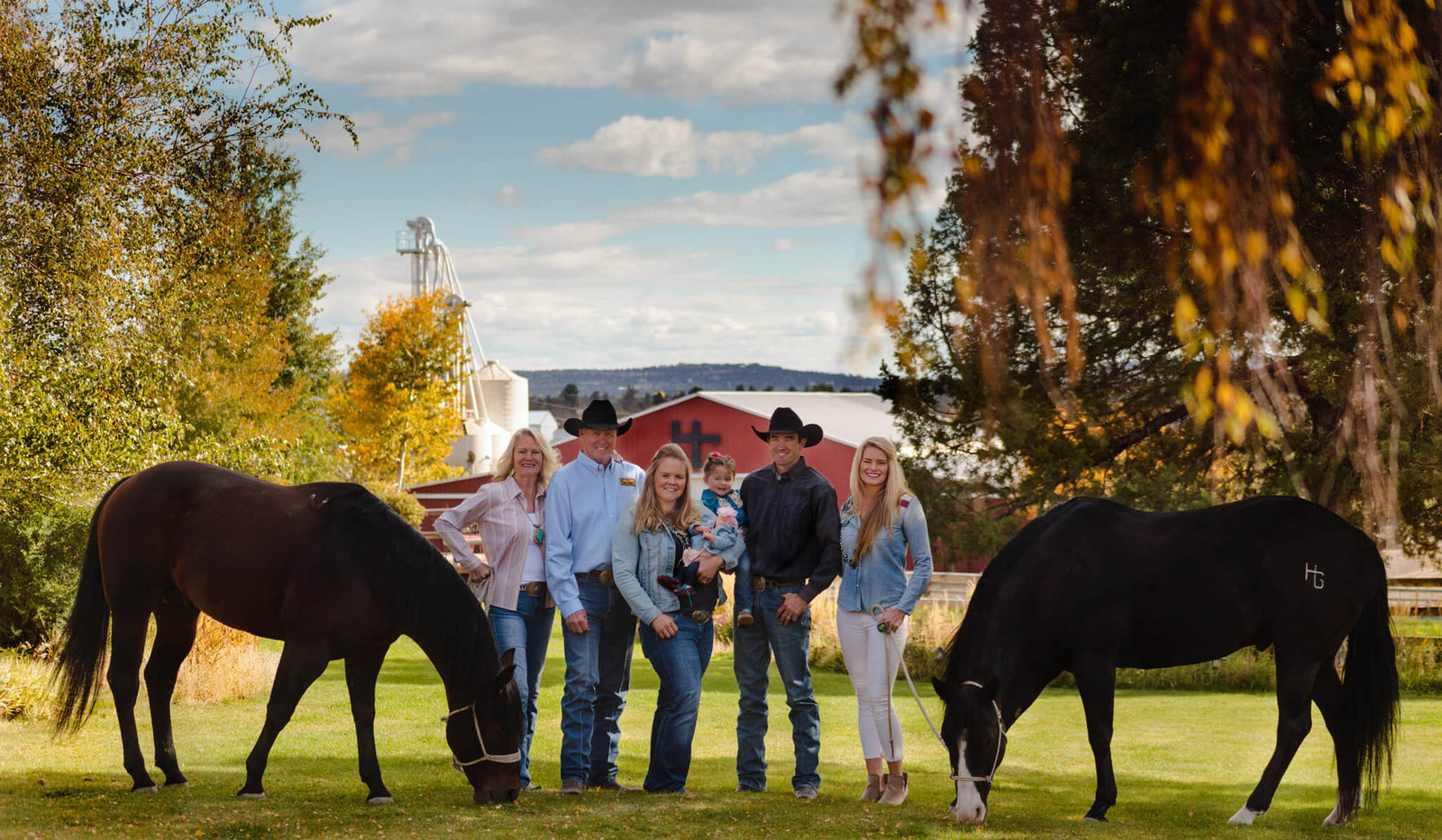 Horse Guard Family, 2nd Generation Horse Family