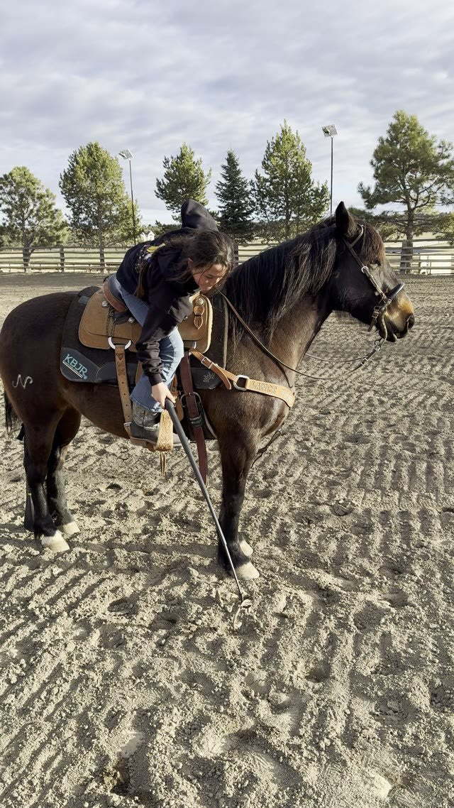 A rider leans off the saddle of a dark horse in a sandy arena and lowers the extended Lazy Cowboy hook toward the ground.