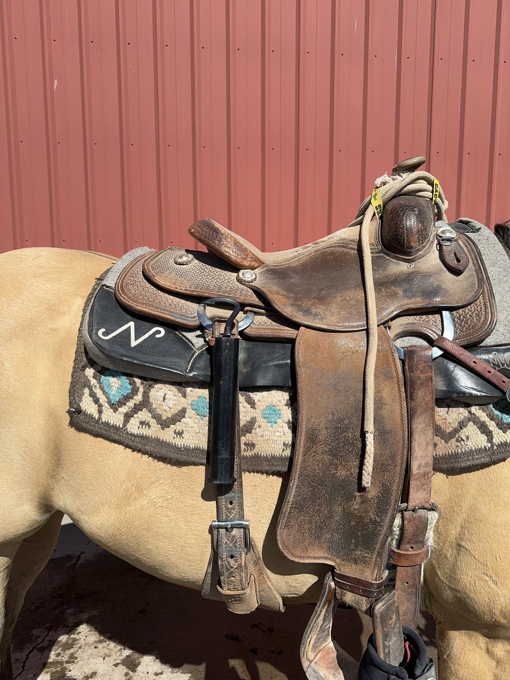 The collapsed Lazy Cowboy stored in a black scabbard mounted on a western saddle, on a tan horse in front of a barn wall.